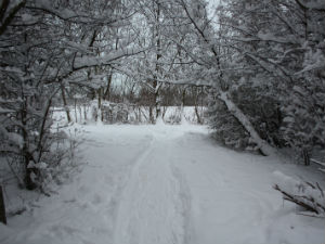 Winter in Wien