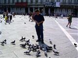 Taubenfütterung am Marcus Platz